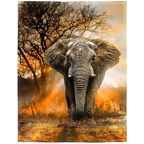Manta De Elefante Africano De 40 X50  Color Naranja, Ma...