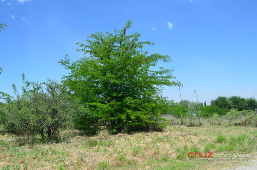 Imagen 4 de 11 de Lote De 1060m2 En Carpintería A 10 Min De La Villa De Merlo