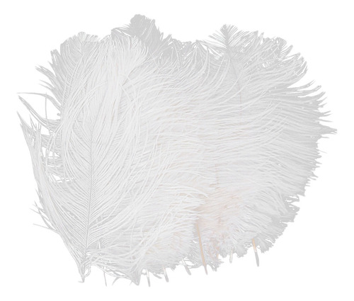 10 Plumas De Avestruz Blancas De 6,7 A 9 Pulgadas