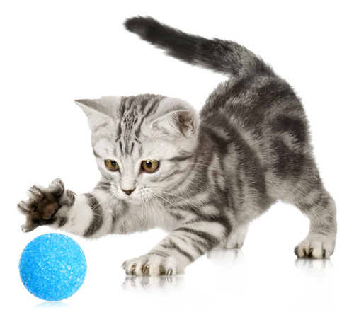 Pelotas De Plástico Para Mascotas, Gatitos Y Gatos, 6 Unidad