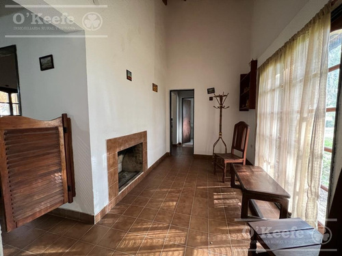 Imagen 4 de 26 de 100 Has En Punta Indio - Excelente Acceso - Ideal Haras!