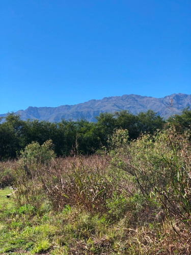 Imagen 6 de 14 de Lote De 2000 M2 Aprox. En Villa De Las Rosas / Posesion