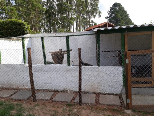 Chacara Em Ibiuna