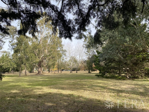 Imagen 3 de 8 de Venta De Dos Terreno En Club Miralagos 1 (28314)