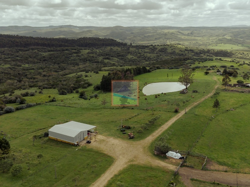 Imagen 9 de 28 de Campo 180 Hás En Altos De Carapé