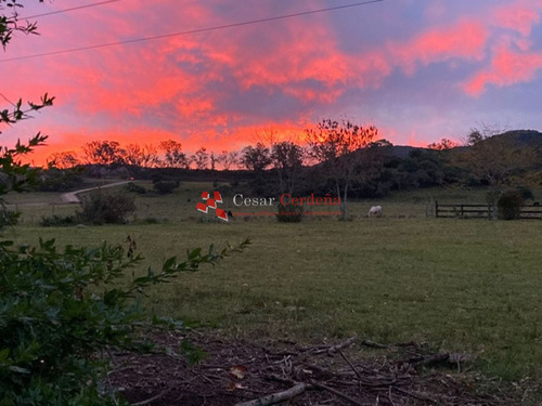 Imagen 16 de 30 de Venta - Chacra De 45 Has Muy Pintorescas En Villa Serrana