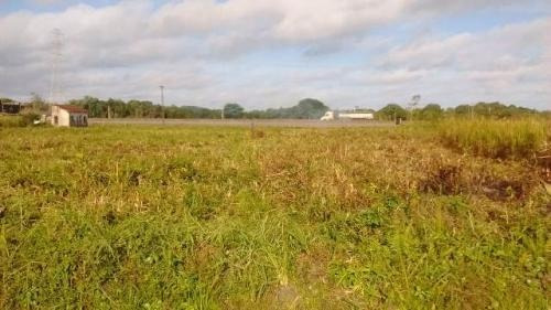 Imagem 1 de 9 de Vendo Terreno De Frente Para A Rodovia | Itanhaém - 6248 Npc