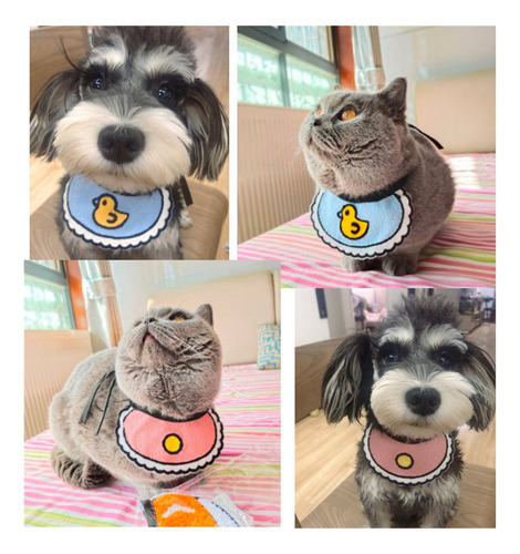Linda Toalla De Saliva Gatos Y Perros, Bufanda Navideña