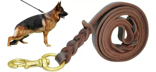 Correa De Cuero Para Perros Medianos Y Grandes /210x16mm