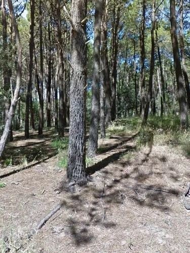 Imagen 1 de 3 de Lote En Venta En Mar Azul