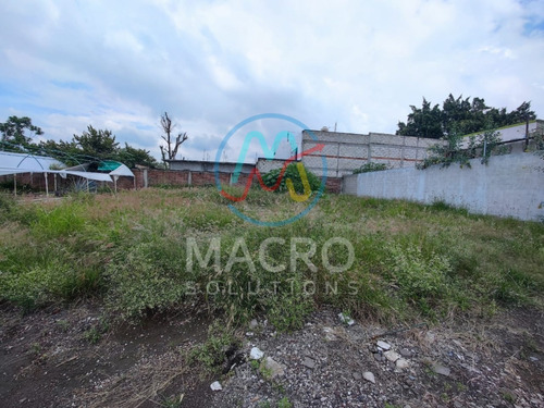 Terrenos En Venta En Col. Vicente Guerrero En Cuautla Con Conexión A Servicios