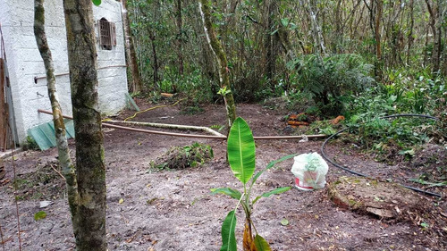 Chacara Sitio Em Itanhaem Prox Ao Bopiranga
