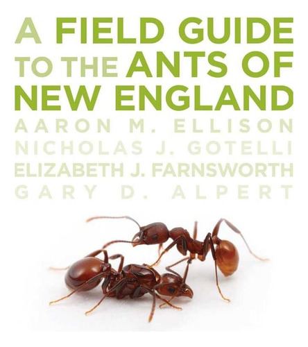 A Field Guide To The Ants Of New England, De Ellison, Aaron M.. Editorial Yale University Press, Tapa Blanda En Inglés