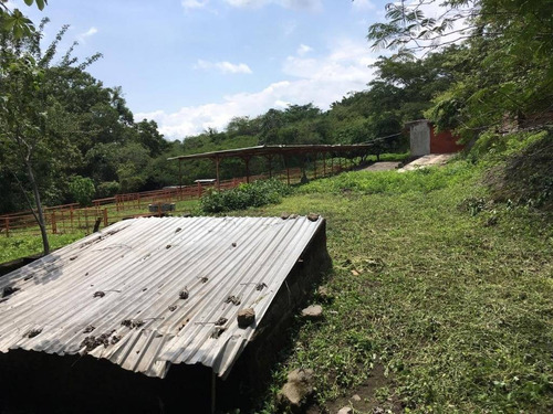 Imagen 6 de 30 de 33 Has Cerca De Altozano El Nuevo Colima