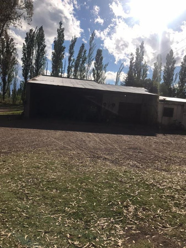 Imagen 8 de 30 de Finca De 62 Ha - General Alvear- Mendoza
