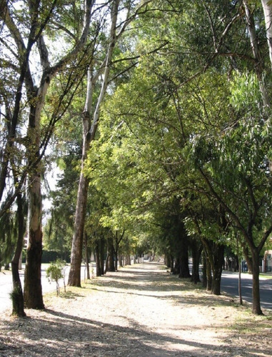 Terreno Ecuestre En Venta Havetno655 Para Desarrollar Finca Para Montar Caballo