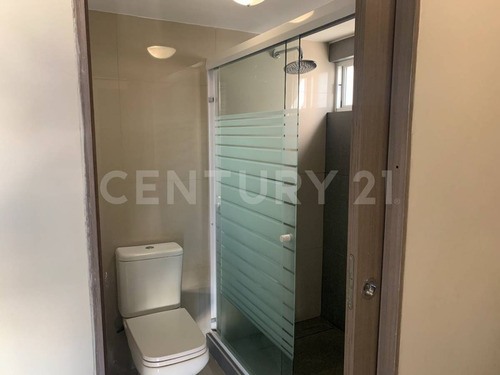 Imagen 12 de 20 de Casas En Renta Zona Reliz Chihuahua