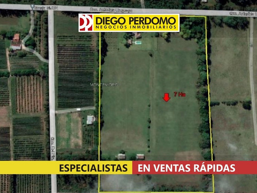 Imagen 5 de 17 de Chacra De 7 Ha En Venta, Montevideo
