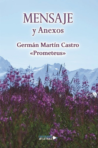MENSAJE Y ANEXOS, de Germán Martín Castro. Editorial Universo de Letras, tapa blanda, edición 1era edición en español, 2020