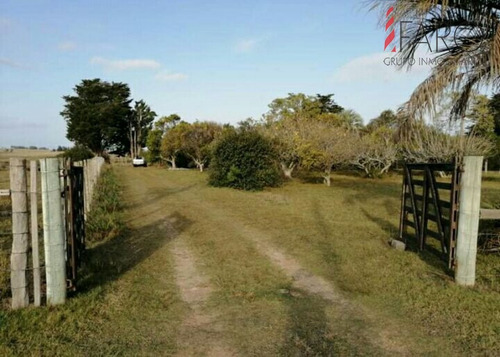 Chacra En Venta En José Ignacio Con Construcción- Ref: 37203