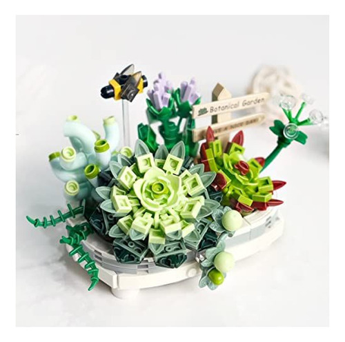 Kit De Bonsáis Suculentos, Regalo Creativo, Construcción De