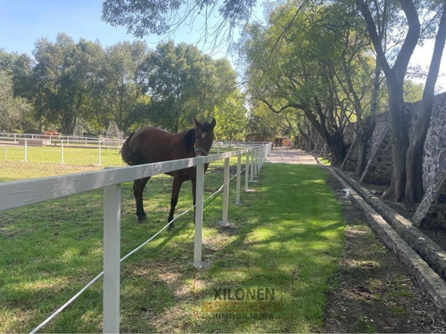 Rancho Privilegiado Con 2 Pozos Y Bella Ecología. 10 Caballerizas, Potreros, Lago, Invernaderos, Cancha De Frontón, Instalaciones Diversas Para Animales. Y Casa Campestre Con 3 Recámaras.