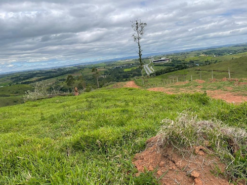Imagem 4 de 6 de E22-desapego Do Meu Lote Com Ótimo Preço