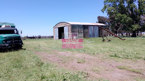 Venta Campo Mixto 130 Has Partido De Ayacucho