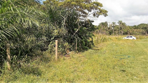 Imagem 21 de 21 de Terreno Beira Mar Em Marau - Te0028