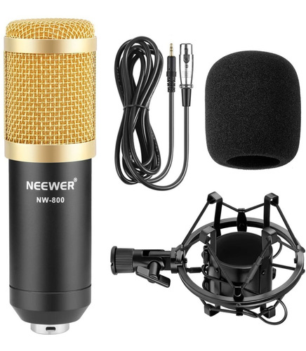 Kit Micrófono De Grabación Neewer Nw800 Professional Studio