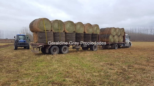 Campo En Venta De 70 Has Ubicado En Tratayen