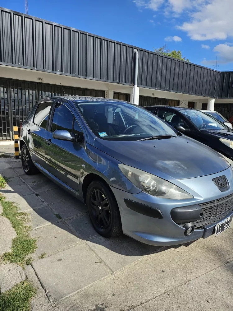 Peugeot 307 1.6 Xs 110cv Mp3