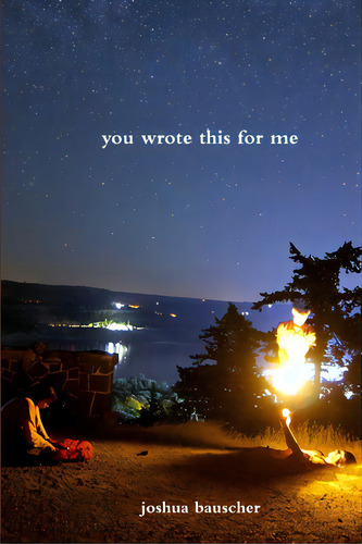 You Wrote This For Me, De Bauscher, Joshua. Editorial Lulu Pr, Tapa Blanda En Inglés