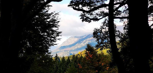 Excelente Terreno Con Vista A La Montaña Y La Tranquilidad Del Bosque En Península San Pedro. Gas