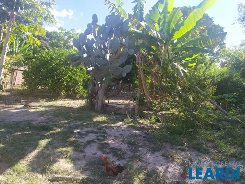 Imagem 10 de 15 de Chacara - Aracoiaba - Sp - 593666