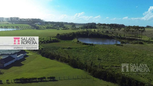 Imagen 1 de 8 de Venta Terreno, Lote En Manantiales, Laguna Estates, Chacra Maritima