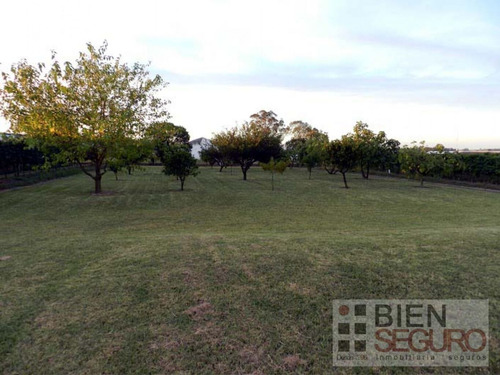 Chacra De 11 Hás, Con Bodega Y Viñedos, En Venta Próximo A Toledo