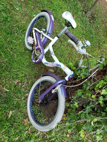 Bicicleta Nena Rod 20 Raleigh