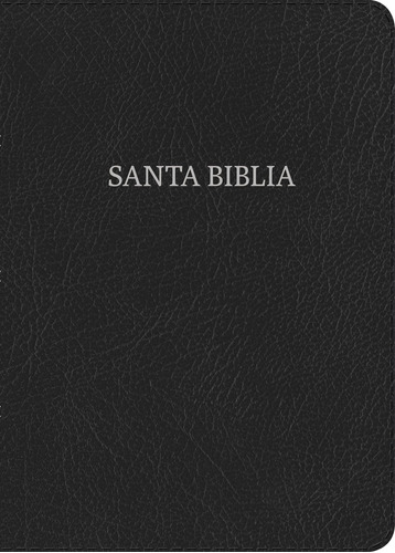 Libro: Nvi Biblia Letra Grande Tamaño Manual Negro, Piel Fab