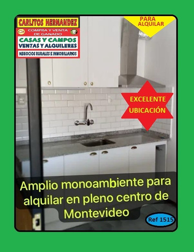 Ref 1515) ** A - Amplio Monoambiente Para Alquilar En Pleno Centro De Montevideo Por Calle Gaboto Casi 18 De Julio, Zona De Facultades