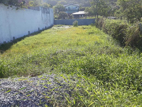 Imagem 2 de 10 de Lindíssimo Terreno Frente Mar Na Praia Das Taquaras, Balneário Camboriú, Sc. Oportunidade Para Investimento !!!! - Sc - Te0831_sc