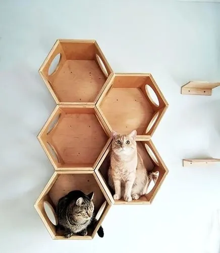 Casas Para Gatos Flotantes