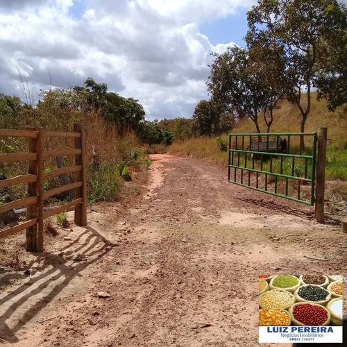 Imagem 10 de 15 de Fazenda À Venda Em Recurdolândia- To - De 130 Alqueirões (pecuária) - 1621