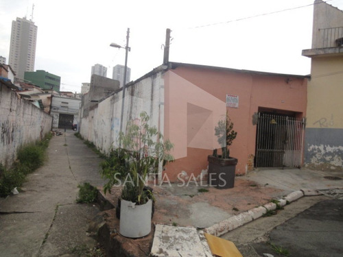 Imagem 10 de 12 de Terreno Com Casas Velhas, Excelente Para Construtores - Ss14569
