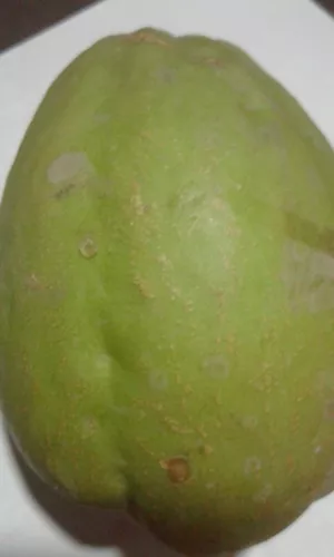 Papa Del Aire Chayote Explicativo Siembra + Recetas | MercadoLibre