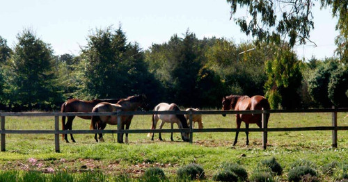 Imagen 9 de 10 de Lote El Campo Fincas Exclusivas Cardales Barrio Cerrado