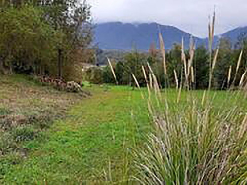 En Venta Conjunto De Cabañas Sector Las Quemas - Futrono