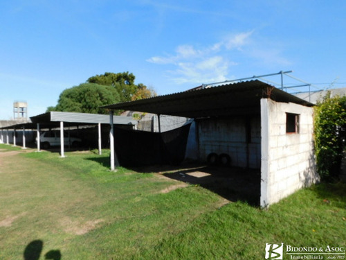 Imagen 3 de 7 de Ideal Para Inversor Terreno Con Cocheras Alquiladas
