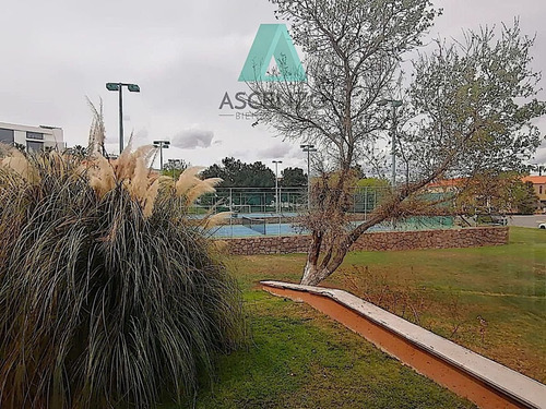 Imagen 24 de 24 de Venta Y Renta De Casa En Residencial Arcadas Serch