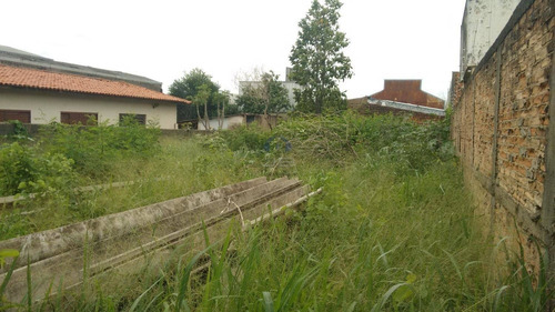 Imagem 3 de 4 de Terreno Á Venda E Para Aluguel Em Jardim Aparecida - Te010092